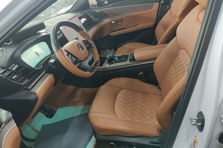 BYD Han 2022 #19 BYD Han 2022 immagine di auto #19