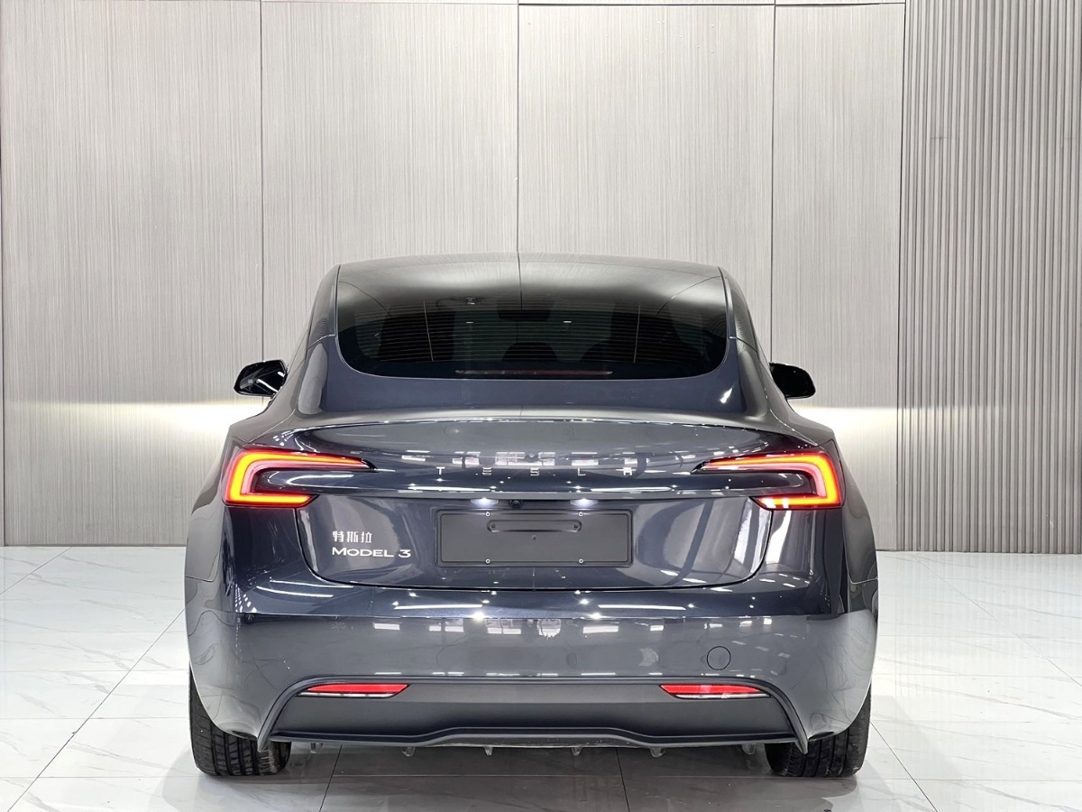 Tesla Model 3 2025 car image #9