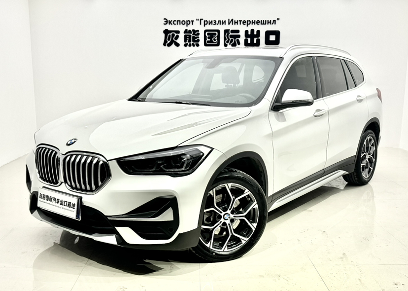 BMW X1 2023 imagen de coche 