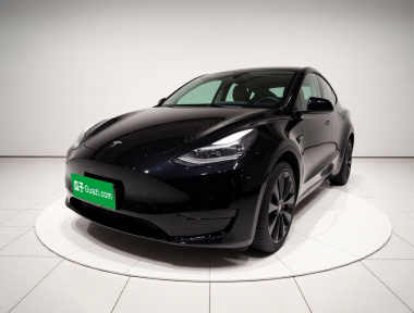 Tesla Model Y 2023 Tesla Model Y 2023 car image
