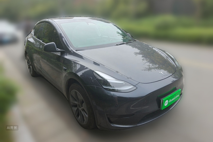 Tesla Model Y 2024 car image #4