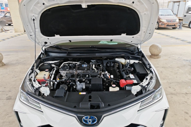Toyota Corolla 2022 car image #20