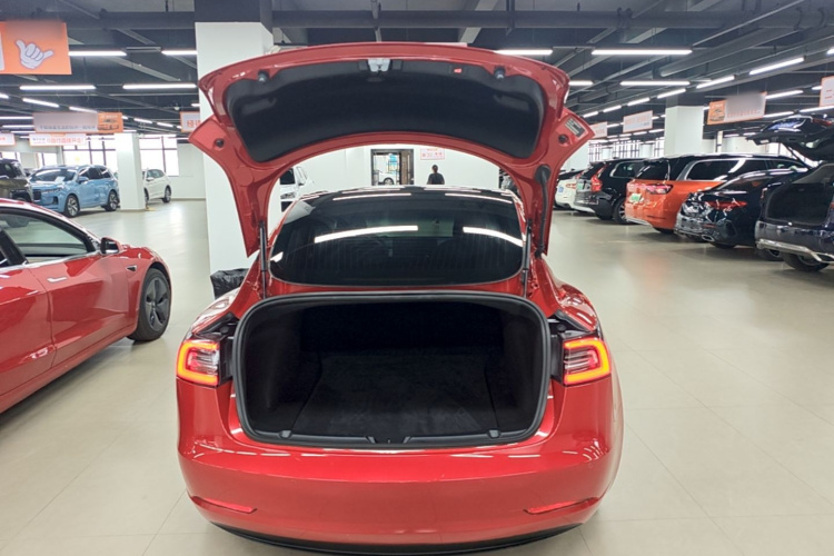 Tesla Model 3 2020 car image #19
