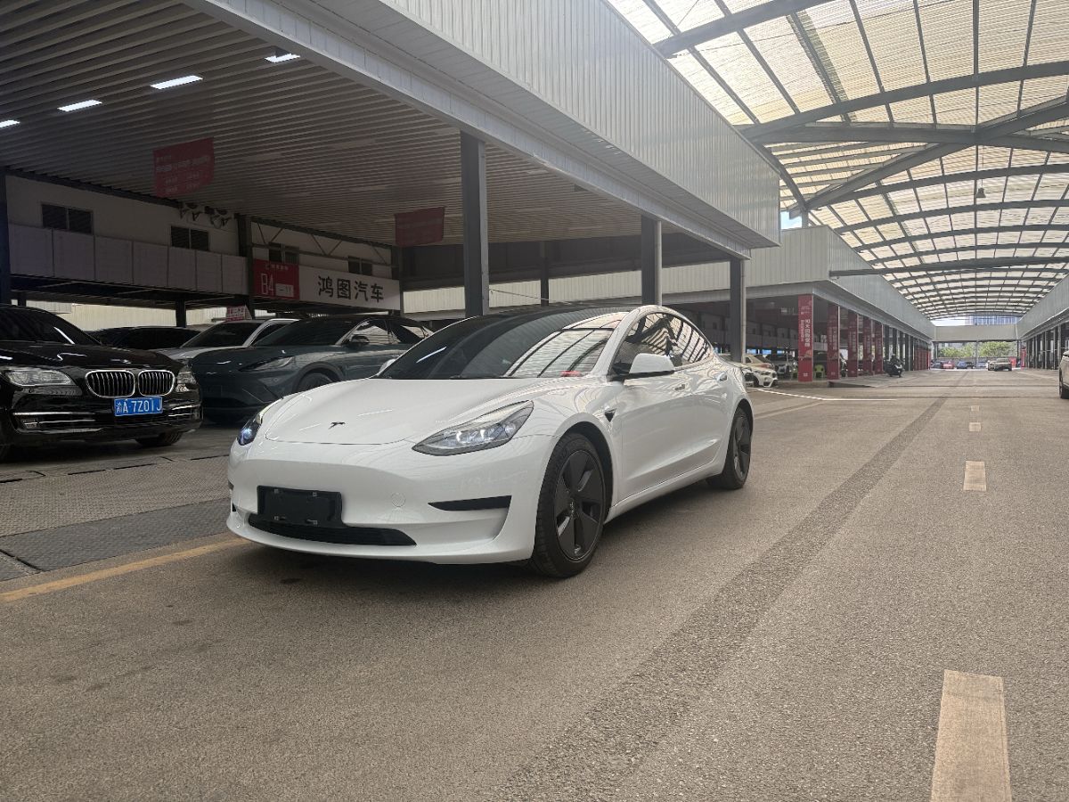 Tesla Model 3 2021 Tesla Model 3 2021 car image