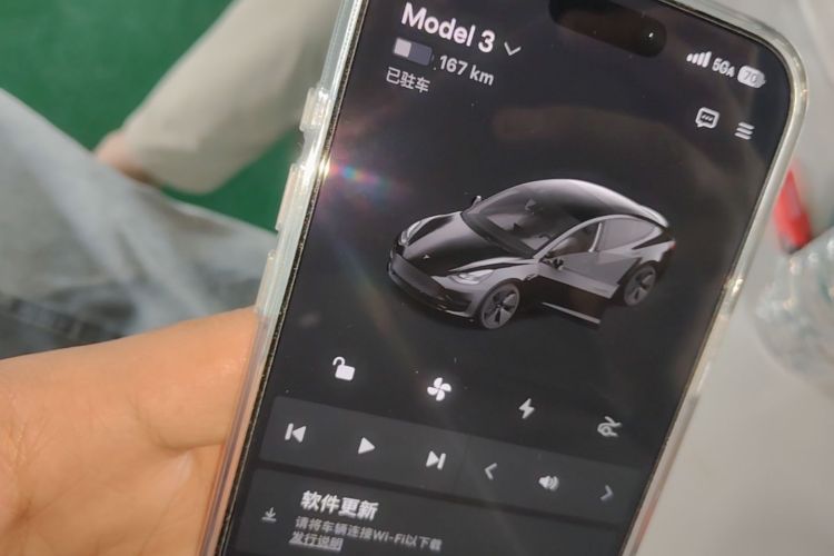 Tesla Model 3 2022 #9 Tesla Model 3 2022 car image #9
