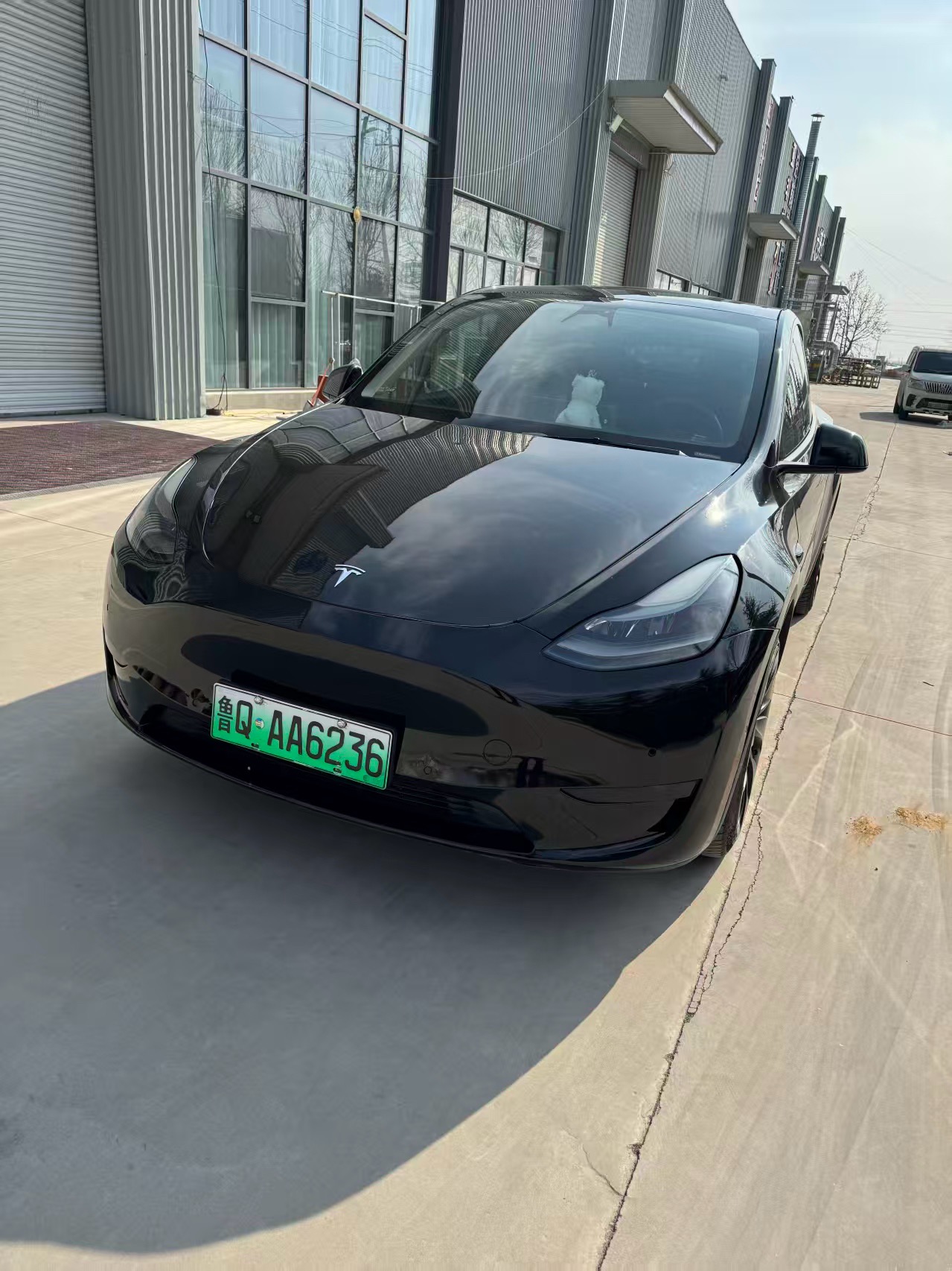 Tesla Model Y 2022 car image 