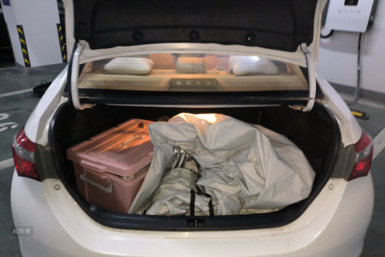 Toyota Corolla 2016 car image #21