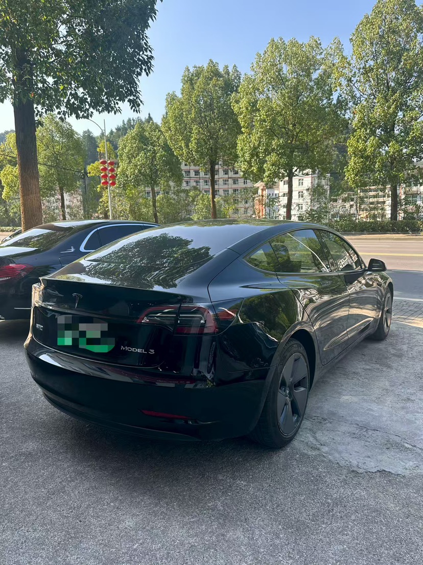 Tesla Model 3 2021 #6 Tesla Model 3 2021 car image #6