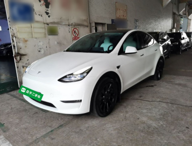 Tesla Model Y 2021 Tesla Model Y 2021 immagine di auto