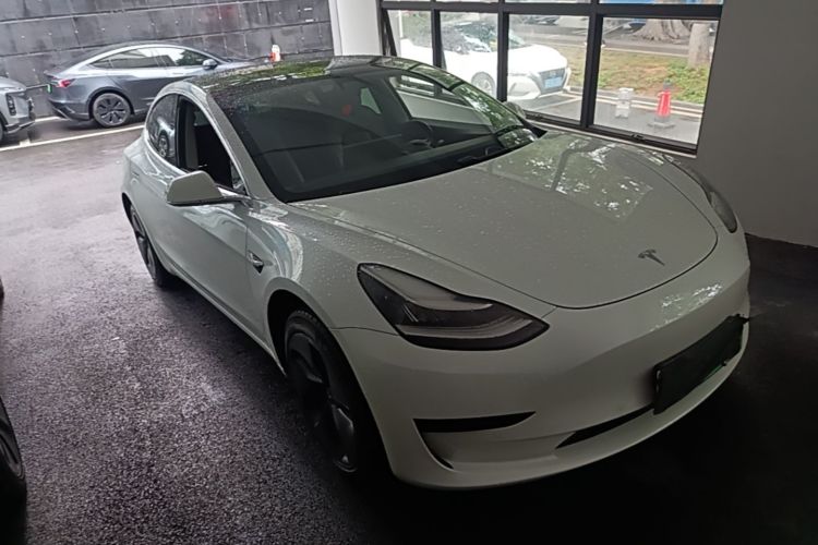 Tesla Model 3 2020 immagine di auto #4