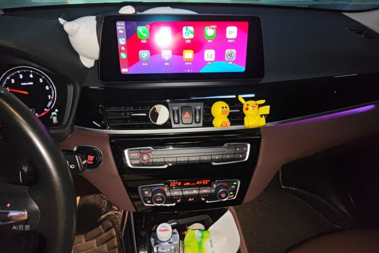 BMW X1 2021 car image #15