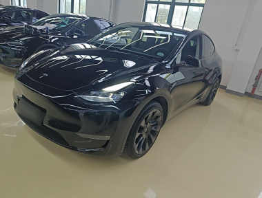 Tesla Model Y 2022 car image 