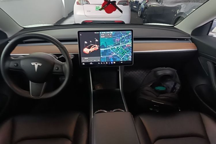 Tesla Model 3 2020 immagine di auto #10