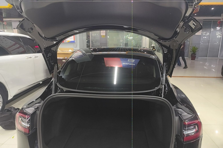 Tesla Model 3 2021 immagine di auto #19