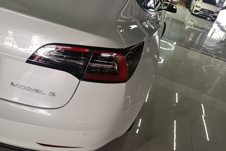 Tesla Model 3 2021 #8 Tesla Model 3 2021 car image #8