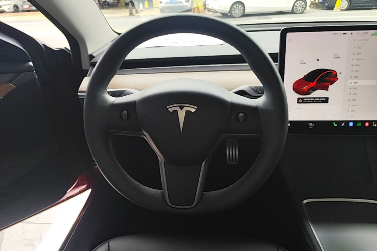 Tesla Model 3 2021 #11 Tesla Model 3 2021 car image #11