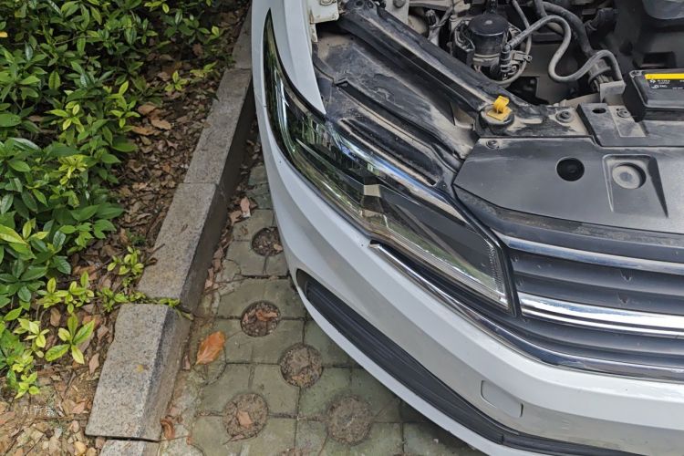 Volkswagen Bora 2019 car image #8