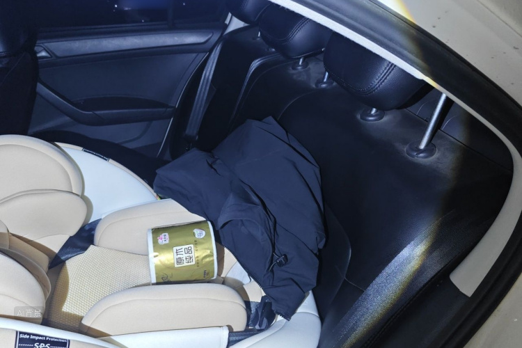 Volkswagen Santana 2020 car image #19