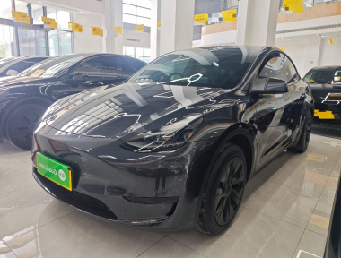 Tesla Model Y 2024 Tesla Model Y 2024 car image