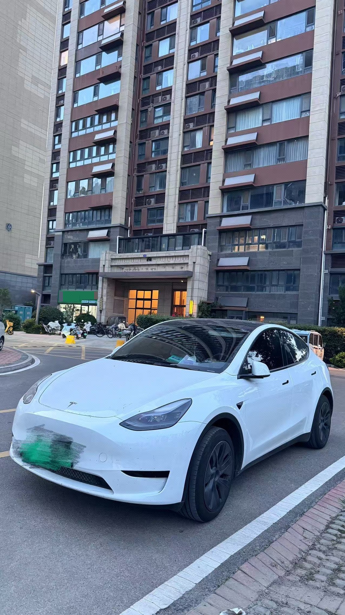 Tesla Model Y 2024 car image 