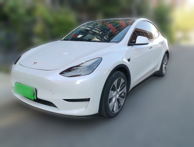 Tesla Model Y 2021 car image 