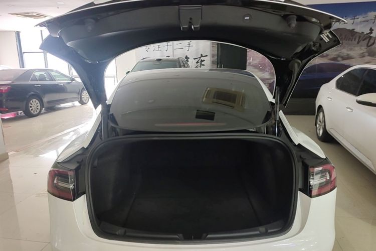Tesla Model 3 2021 #19 Tesla Model 3 2021 car image #19