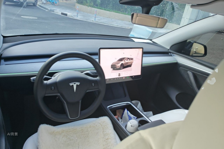 Tesla Model Y 2023 car image #11