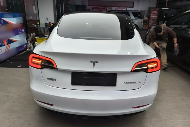 Tesla Model 3 2023 #6 Tesla Model 3 2023 car image #6