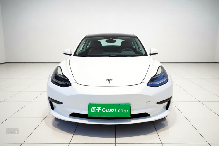 Tesla Model 3 2022 car image #3
