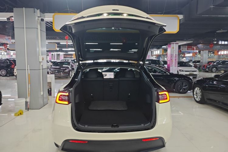 Tesla Model Y 2021 #21 Tesla Model Y 2021 car image #21