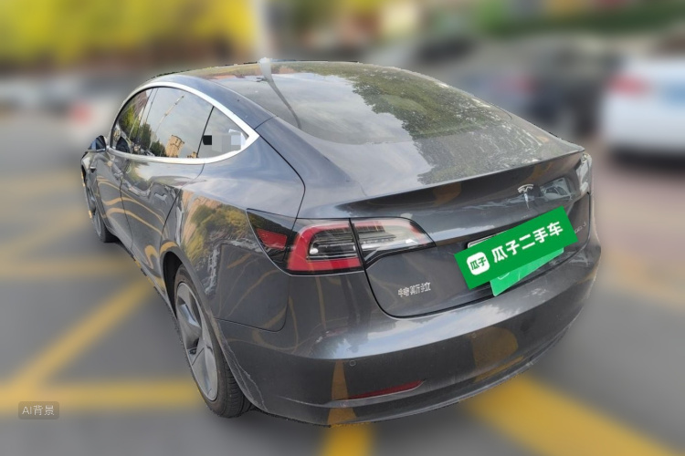Tesla Model 3 2020 car image #5
