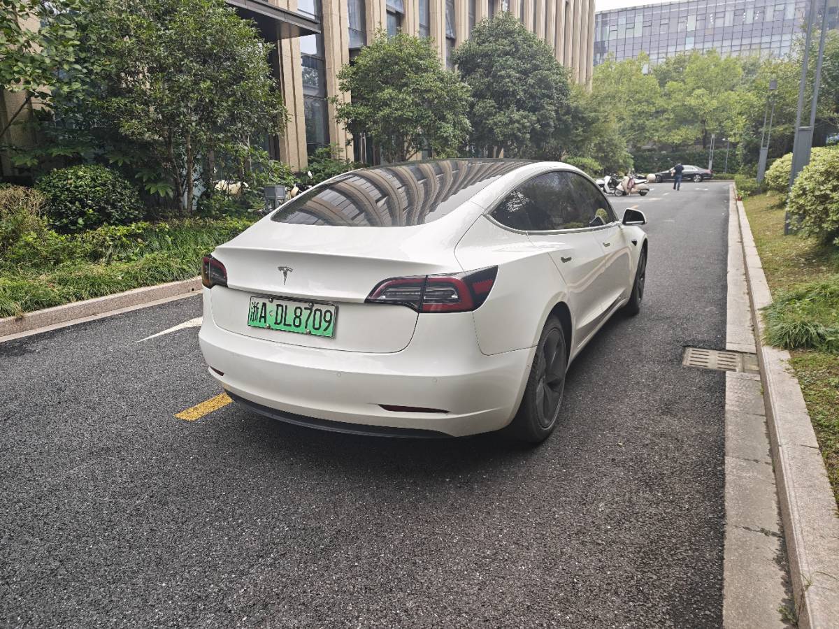 Tesla Model 3 2020 #3 Tesla Model 3 2020 immagine di auto #3