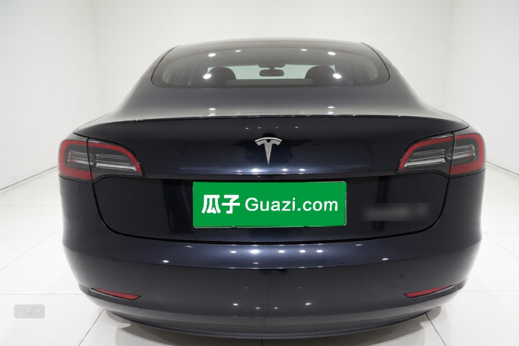 Tesla Model 3 2021 #6 Tesla Model 3 2021 car image #6