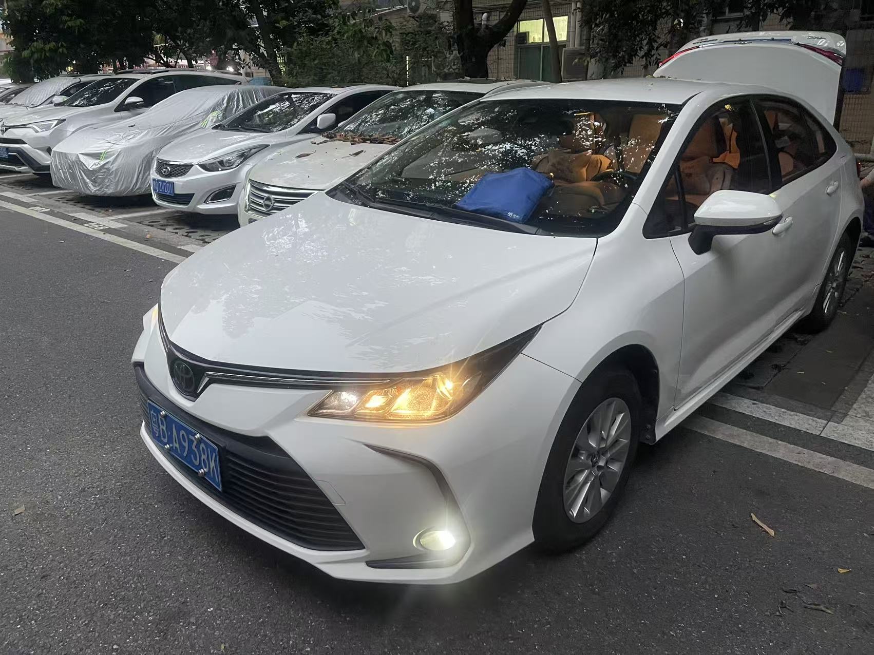 Toyota Corolla 2019 Toyota Corolla 2019 car image