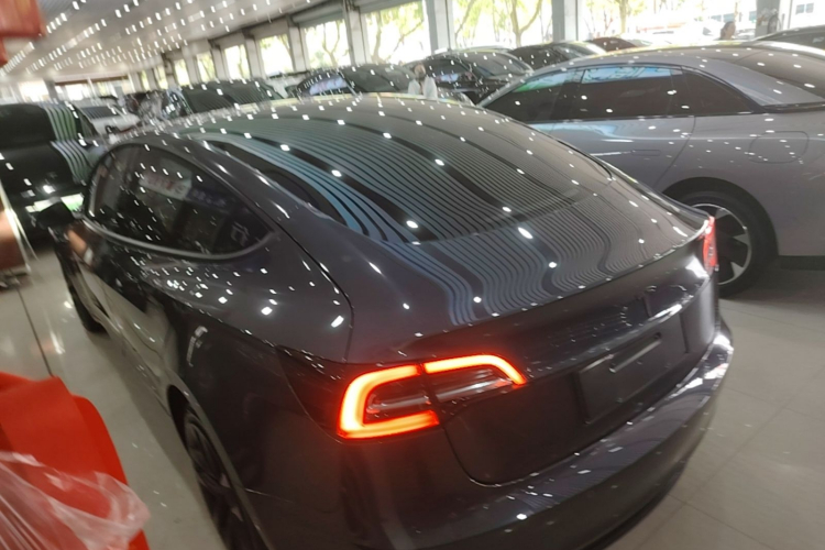 Tesla Model 3 2021 #5 Tesla Model 3 2021 car image #5