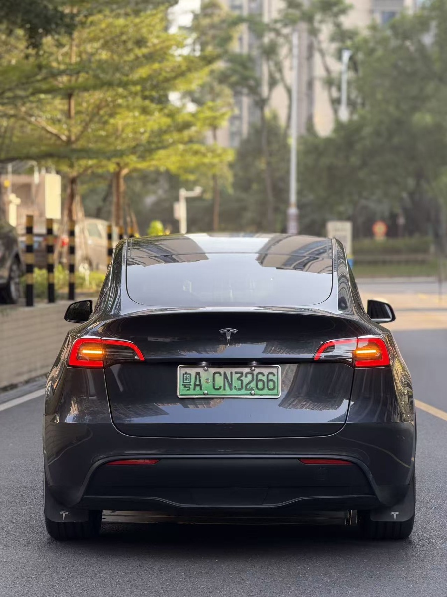 Tesla Model Y 2024 #3 Tesla Model Y 2024 изображение автомобиля #3