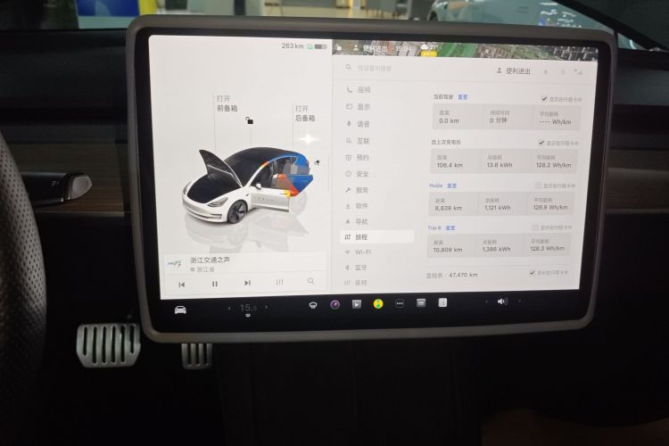 Tesla Model 3 2023 car image #13