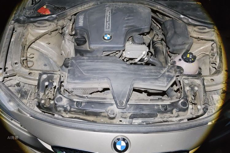 BMW 3 Series 2015 car image #22