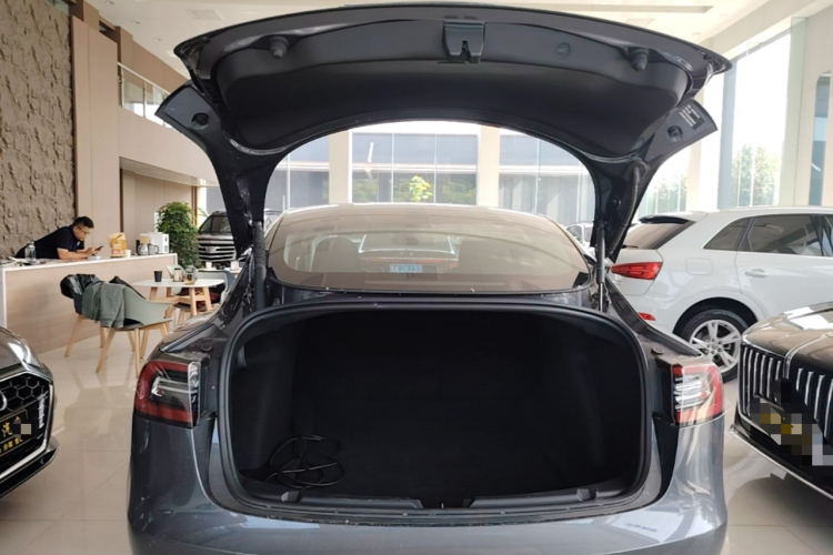 Tesla Model 3 2021 #19 Tesla Model 3 2021 car image #19