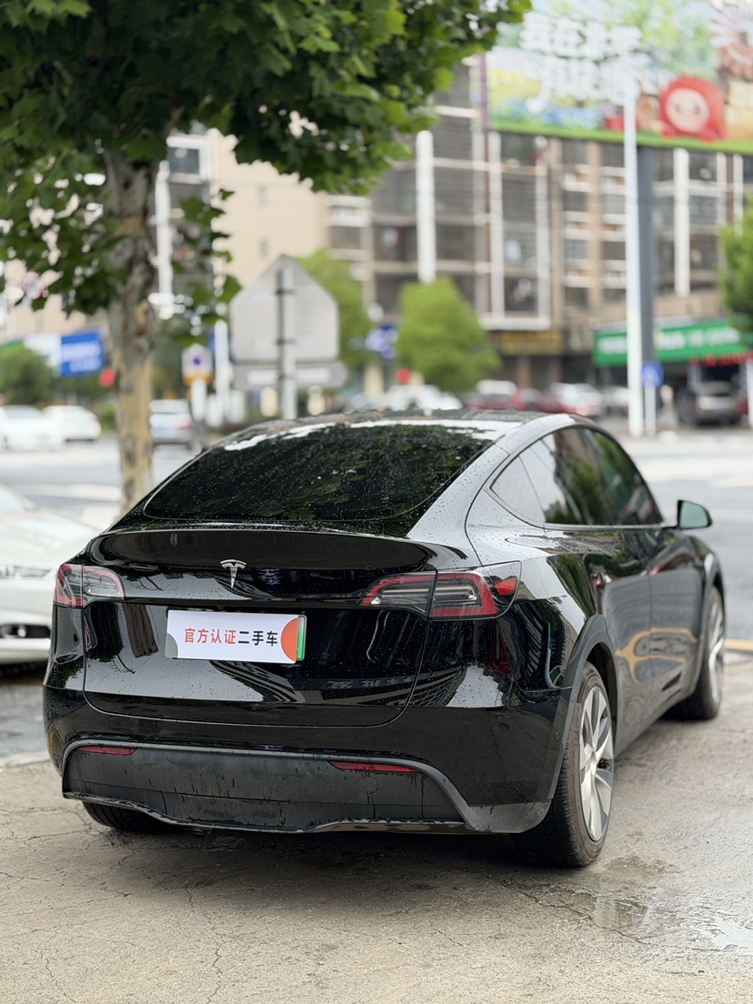 Tesla Model Y 2023 #5 Tesla Model Y 2023 car image #5