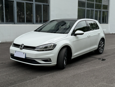 Volkswagen Golf 2019 car image 