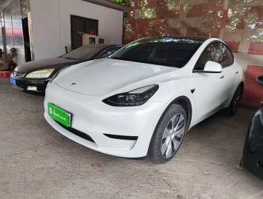 Tesla Model Y 2023 Tesla Model Y 2023 car image