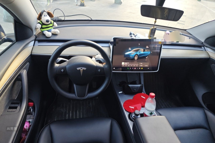 Tesla Model Y 2022 car image #11