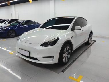Tesla Model Y 2023 car image 