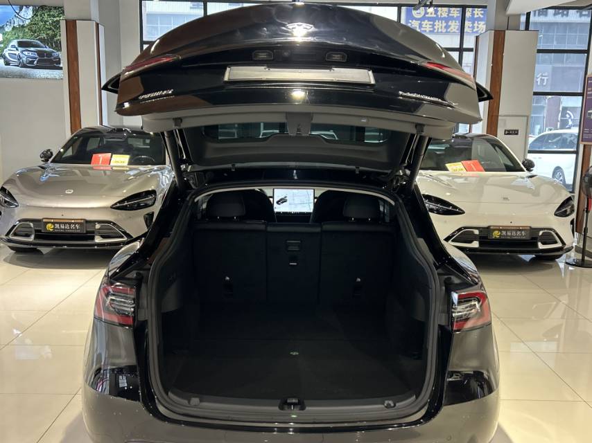Tesla Model Y 2021 #11 Tesla Model Y 2021 car image #11