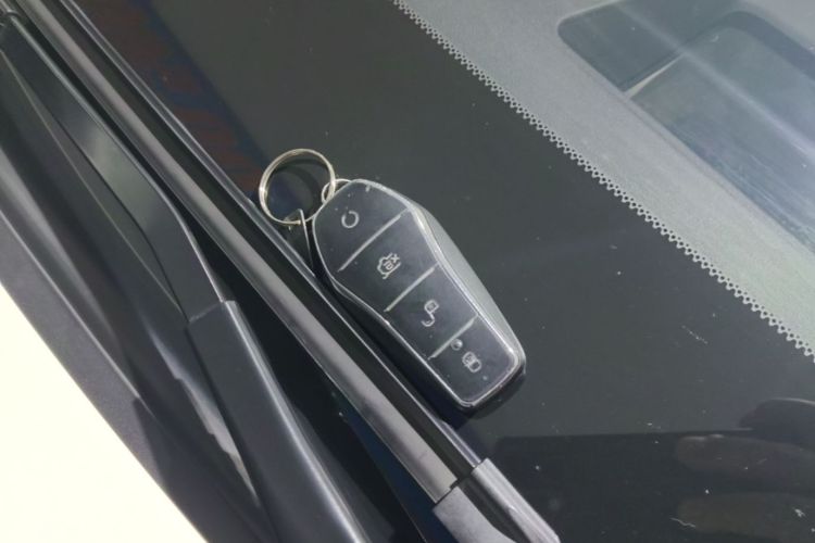 BYD Han 2022 car image #14