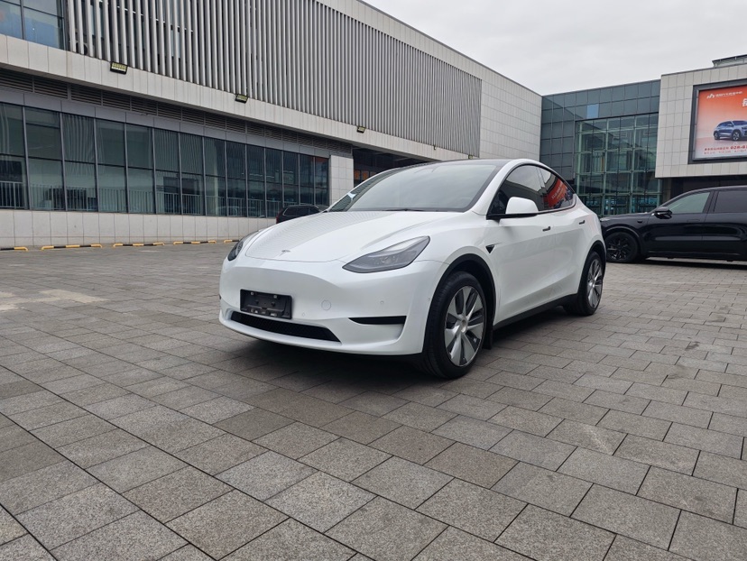 Tesla Model Y 2022 Tesla Model Y 2022 car image