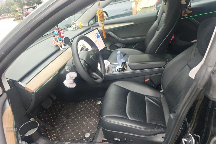 Tesla Model 3 2021 car image #17