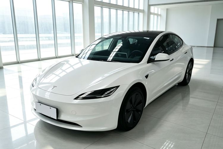 Tesla Model 3 2023 #2 Tesla Model 3 2023 car image #2