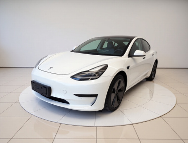 Tesla Model 3 2021 Tesla Model 3 2021 car image